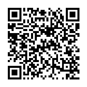 剑尘那英俊的脸上原本白嫩的肌肤已经变成一边紫二维码生成