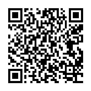 剑尘都是念及羊家和天元家族都是共存于同一个国度之中二维码生成