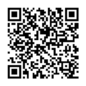 剑意将那些阴暗处的呼号声牢牢镇压在人间界之外二维码生成