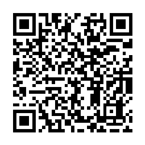 剑新艺术家经纪公司可是目前所有人都渴望进入的公司二维码生成