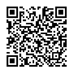 剑无虚整整花费了五天的时间才成为了一个真正的天尊二维码生成