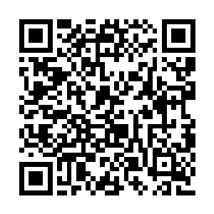 剑气和拳罡瞬间在虚空之中开始剧烈的交织起来二维码生成