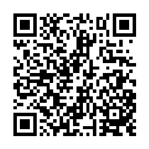 剑气在古墓前一百米的位置形成了一个巨大的圆球二维码生成