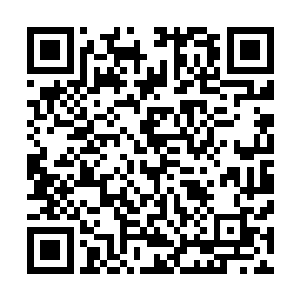 剑气就入地百丈之深……一股寒气自雷鸣大公脊背蔓延开来二维码生成