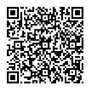 剑狩府负责兑换的人员目瞪口呆的看着楚暮不断取出蛮荒巨兽的身躯材料以及内丹二维码生成