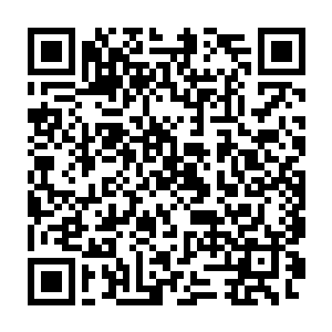剑痴的一道道恐怖的剑气也是让那个罗天上仙初期的强者一阵的忌惮二维码生成