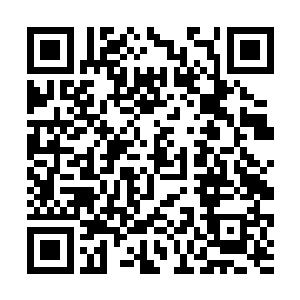 剑皇和卡卡鲁之间的战斗短时间内是不可能有进展的二维码生成