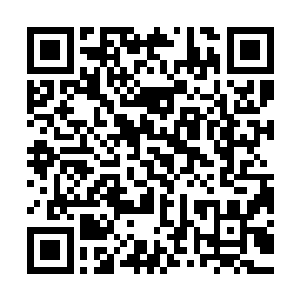剑皇就是一个剑之风暴朝着毒蝎子乔一飞所在的方向发动了攻击二维码生成