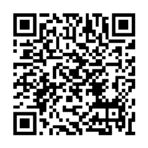 剑神宗历代五百多个掌教能获得老祖真正认可的二维码生成