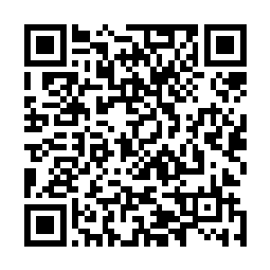 剑神殿以及星系主宰级势力和十大霸主级势力的强者们联手二维码生成