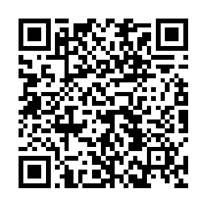 剥皮抽筋敲膝盖骨或者刺穴割指甲都是他们的拿手好戏二维码生成