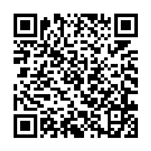 剧情模板师和导演是娱乐圈的黄金搭档郁阿尔和沈源二维码生成