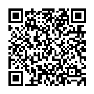 剧本好像不太对啊……这个时候奶牛不是应该满脸崇拜地扑上来二维码生成