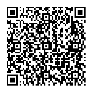 剧本部门的炙热程度则体现在改编和原创两个部门十个提名有九部作品都是今年奥斯卡的大热门二维码生成