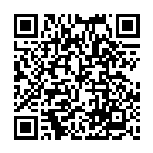 剧本难度降级卡……虽然有破坏游戏平衡的可能二维码生成