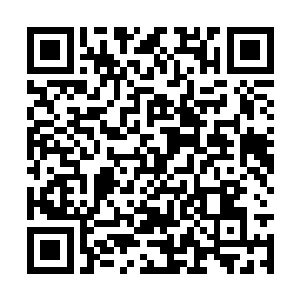 剧组会配合她把大部分小辣椒的戏份先挑出来拍摄二维码生成