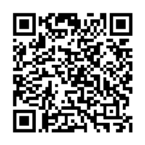 剧组的人在采访中都说你潜意识展现力非常的好二维码生成