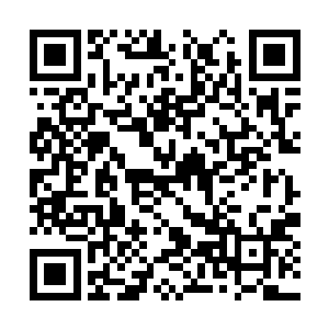 剩下一些不是非常名贵的诸如大黑鱼就放在了外面二维码生成
