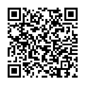 剩下一批连道印都没有凝聚的开天境看的羡慕不已二维码生成