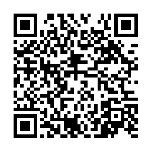 剩下妖界的一座龙墓咱们费点时间肯定可以找到的二维码生成