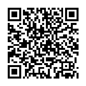 剩下少不了要见过妙一居的蓝墨和元道居的秋妍二维码生成