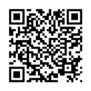 剩下来就看你们自己如何的施展了二维码生成