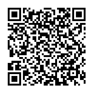 剩下来的工作就是就骑龙岭风景区进行开发规划与双峰县进行具体磋商二维码生成