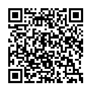 剩下没几格还要放任务物品……而这些兔子皮毛二维码生成