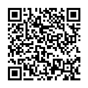 剩下的一部分和蕴含世界本源比较少的宝物则交给龙诗昊两兄妹二维码生成