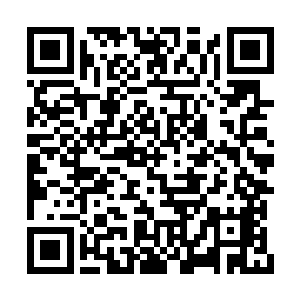 剩下的上级贵族虽然强力但是也翻不起什么大浪二维码生成