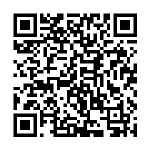 剩下的二十一位则是分散在了诸天百界各个地方沉睡二维码生成