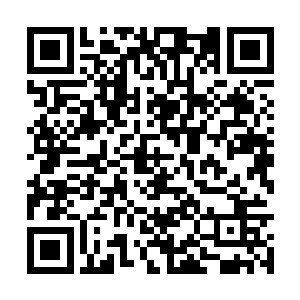 剩下的人全都选择了扔手榴弹而不是朝着烟雾开枪二维码生成