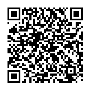 剩下的其实就只是借助廖辽的帮助把她这个李谦经纪人的身份打出去罢了二维码生成