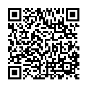 剩下的十六个高手和他们的护卫一个个的也都是警惕的看着夏天二维码生成