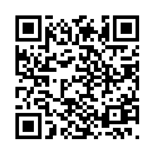 剩下的只等去把费德勒的枪拉走就行二维码生成