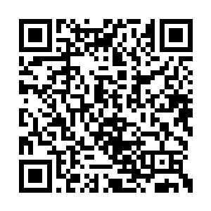 剩下的就只有在NPC的职业道路上一条道走到黑了二维码生成