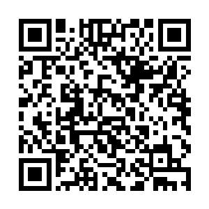 剩下的所有四十六个仙家绝无他们这么团结的小团体二维码生成