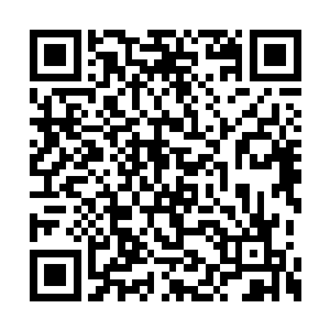 剩下的法器张萧晗就没有挑出什么喜欢的东西了二维码生成