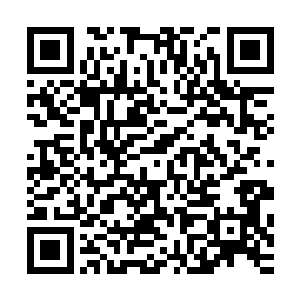 剩下的这些也是尸阴宗高层为了培养更多的尸体而保留下来的二维码生成