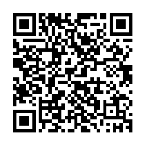 剩下的那些也足够给云横山这么点地方普降甘霖数十上百万年了二维码生成