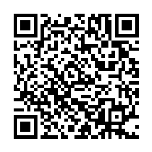 剩下的那些人此时一个i俄格脸色也都变得无比的难看起来二维码生成