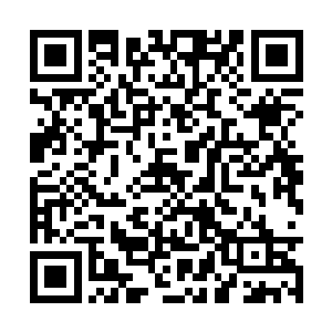 剩下的那些太虚宗修士在数百万修士中间来回纵横二维码生成