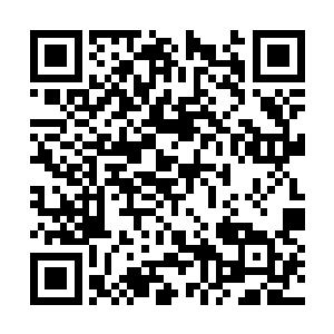 剩下的酒业公司只怕只能为另外九个名额而努力了二维码生成