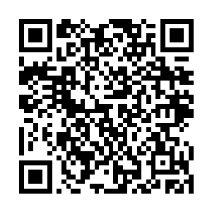 剩下的3尊半步鬼皇居然被封天城的一位修士缠住二维码生成