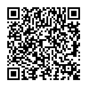 剩下稍有逊色的再凑足二十三卷……看起来还想让我吃下这份青紫之卷二维码生成