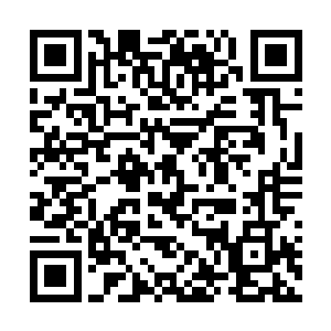 剩下5%用来看着脚下的路和吩咐佣人们去准备晚餐二维码生成