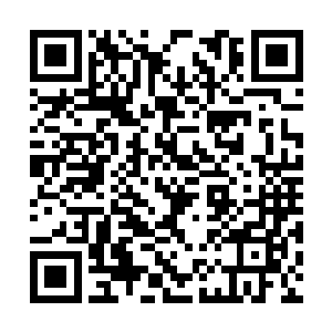 剩余的三分之一的龙珠精华也可以让金冠龙去吸收二维码生成