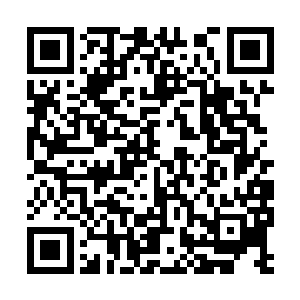 剩余的八十九份材料全都被她炼成了上等的丹药来二维码生成