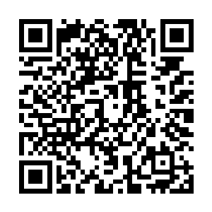 剩余的气势也是去势不减顿时朝着郑万两个人攻击过去二维码生成