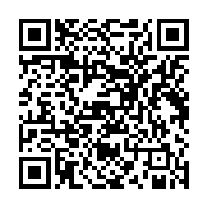 剩余的那几个离合境界的高手此时也受到了不轻的伤势二维码生成